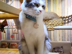 -小时光咖啡馆(开森度假森林店)