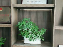-首脑美发沙龙
