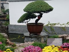-水绘园