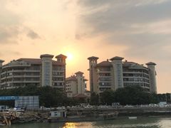 -万绿园
