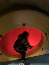 -酷嗒动物文化乐园(cutezoo西溪乐天城店)