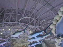 -烟台海昌鲸鲨海洋公园