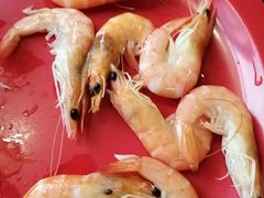 -好伦哥比萨烤肉自助(马家堡店)
