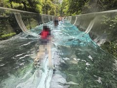 -花水湾第一村温泉大酒店
