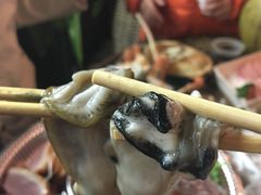 -上引水产