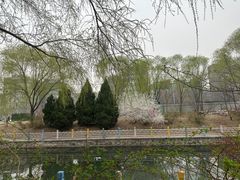 -红色盛宴酒楼(科丰桥店)