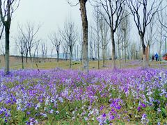 -东郊湿地公园