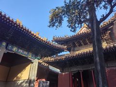 -孔府
