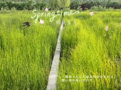 -永定河休闲森林公园