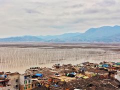 -北岐滩涂