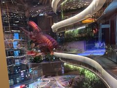 -阳光岛·海鲜盛宴(银泰中心in99店)