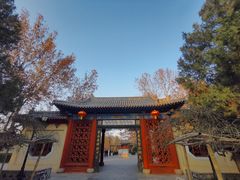 -大槐树寻根祭祖园