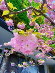 -WAVE SODA摄影工作室