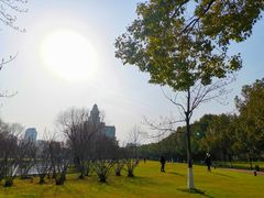 -中央公园(苏州工业园区)