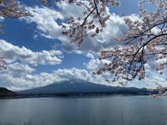 -半岛渔港 • 阿翁火锅馆(将军澳广场店)