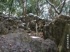 -中国茶叶博物馆(双峰馆区)