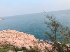 -广东惠东海龟国家级自然保护区