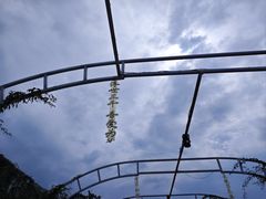 -呈贡滇池生态湿地公园