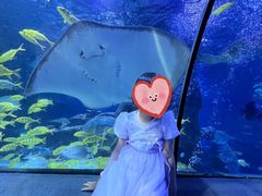 -太平洋海底世界