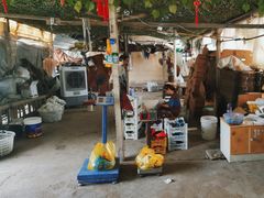 -马陆小张葡萄园农家乐