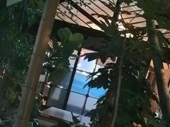 -金稼园·金平湖农家菜