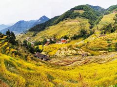 -紫鹊界梯田景区