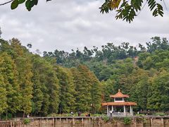 -深圳仙湖植物园