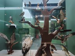 -国家自然博物馆