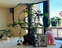 -珍贞佰俪·针清祛痘印敏感管理