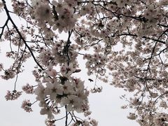 -龙美术馆西岸馆-停车场