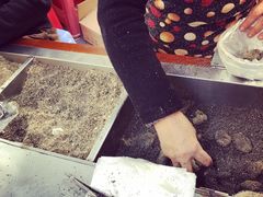 -叶氏麻糍(鼓浪屿店)