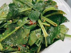 凉拌菠菜-黄家老店(晋安路店)