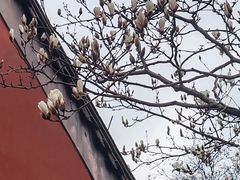 -钱王祠