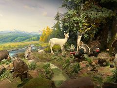 -陕西自然博物馆