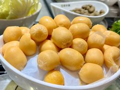 -农小锅自助小火锅(北京大兴凯德店)