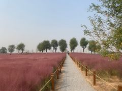 -汉长安城未央宫国家考古遗址公园