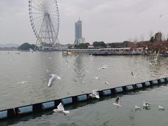 -蠡湖大桥公园