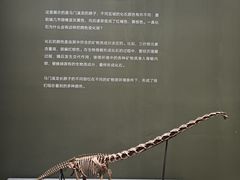 -遇见博物馆(遇见海洋沉浸式奇幻光影展)
