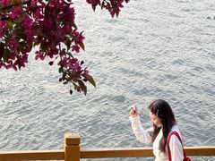 -长白岛森林公园