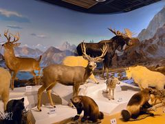 -陕西自然博物馆