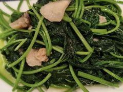 -鹅香四海·卤水火锅·砂锅粥·潮汕菜(宝安店)