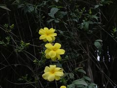 -沐仙湖湿地公园