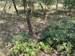 -南京枫彩漫城