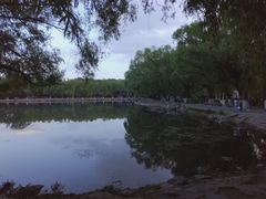 -青城公园