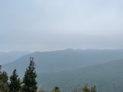 -海南霸王岭国家森林公园