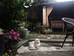 -老屋咖啡