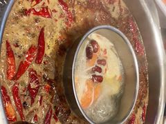 -一斗火锅·招财羊毛肚(北温泉九号店)