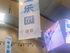 -冰上乐园(大卫城店)