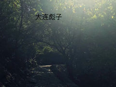 -金龙寺国家森林公园