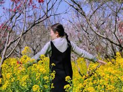 -南汇桃花村